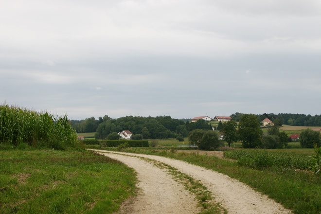 Bei Heilmfurt südlich Malgersdorf.