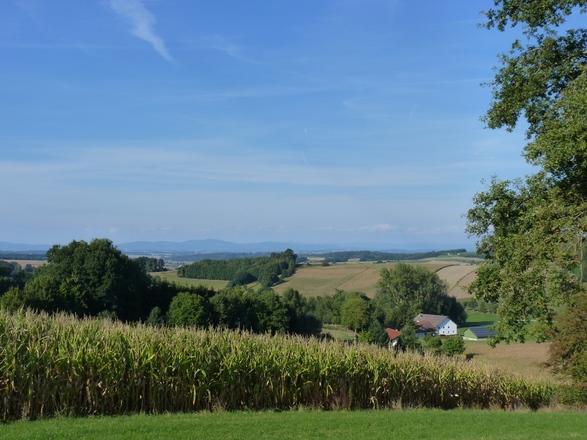 Aussicht bei Peisting