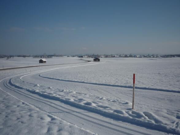 Rundkurs Skating und Klassisch