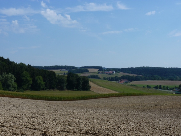 Ausblick bei Peterskirchen