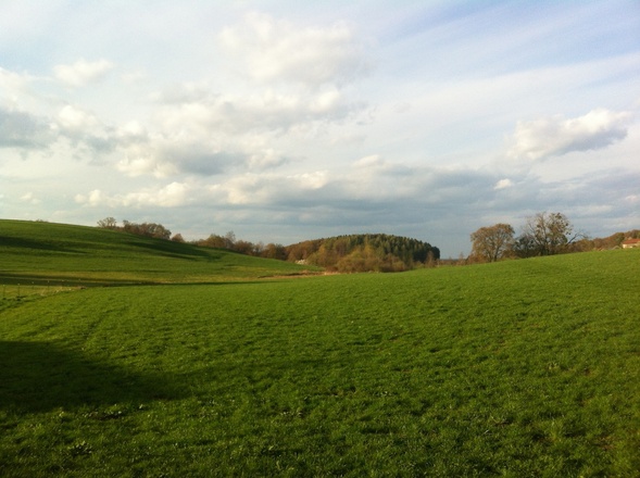 Ausblick von Arnried