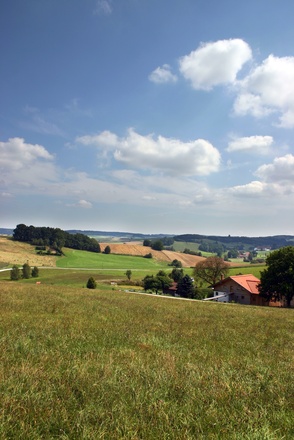 Abfahrt bei Wampendobl.
