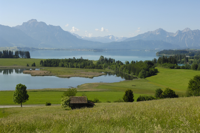 Panorama während der Tour: Der Forggensee bei Füssen