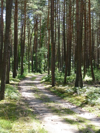 Bei Lindberg