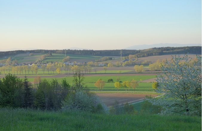 Blick ins Vilstal