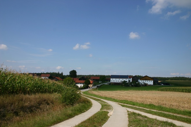 Bei Schornbach.