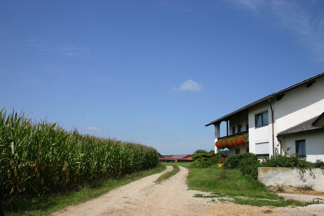 Bei Viehholzen.