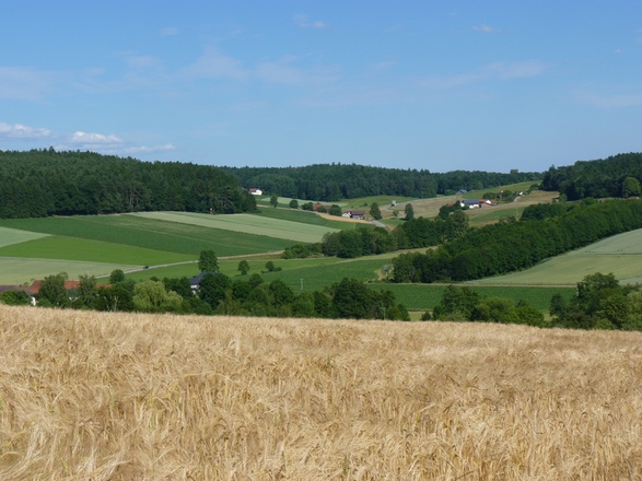 Ausblick bei Guteneck