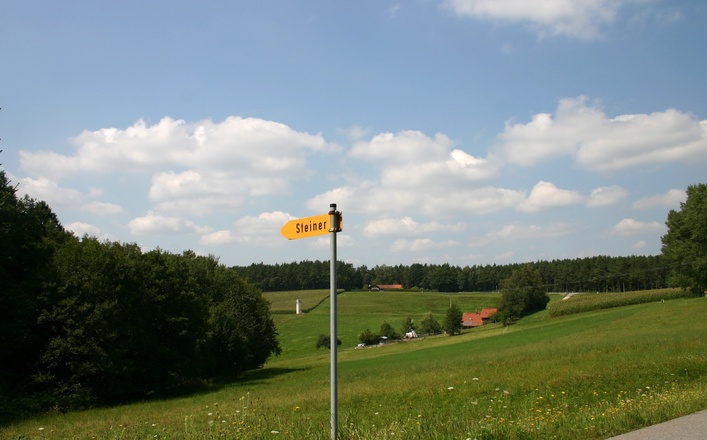 Anstieg bei Steiner.