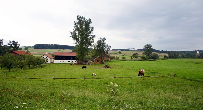 Bei Bruckmühle.