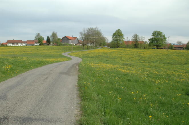 Kegelstichweg nördlich von Krottenhill