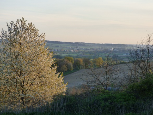 Blick auf Roßbach