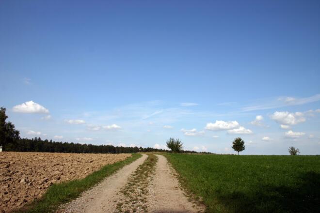 Bei Stockhäusel.