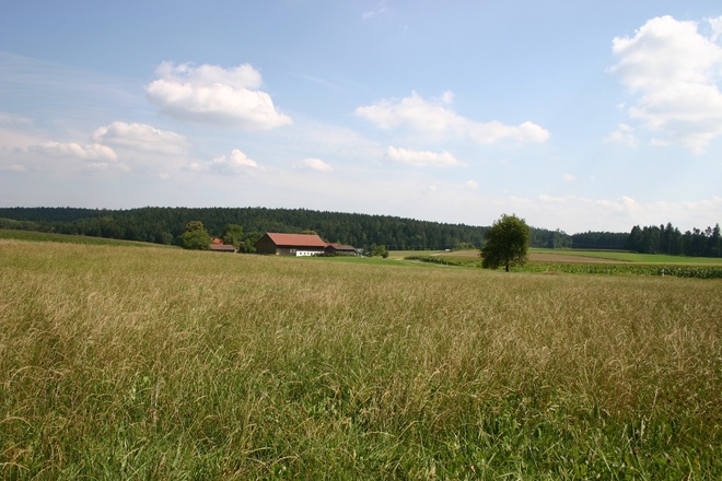 Blick auf Plankenbach.
