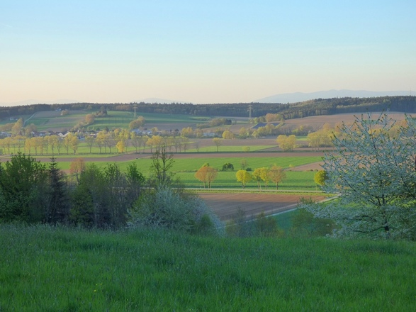 Ausblick bei Haufenöd ins Vilstal