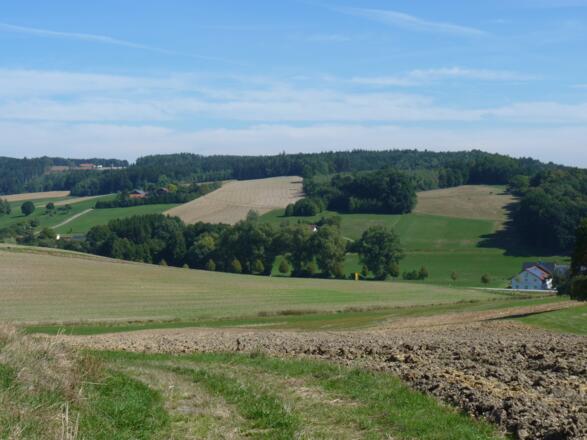 Blick vom Höckberg ins Haberbachtal