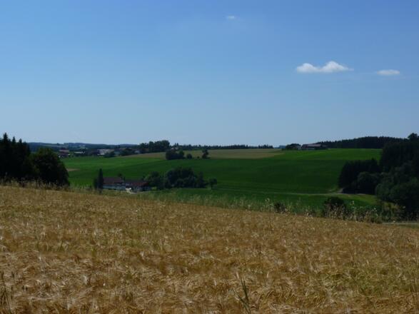 Blick ins Apfelbachtal