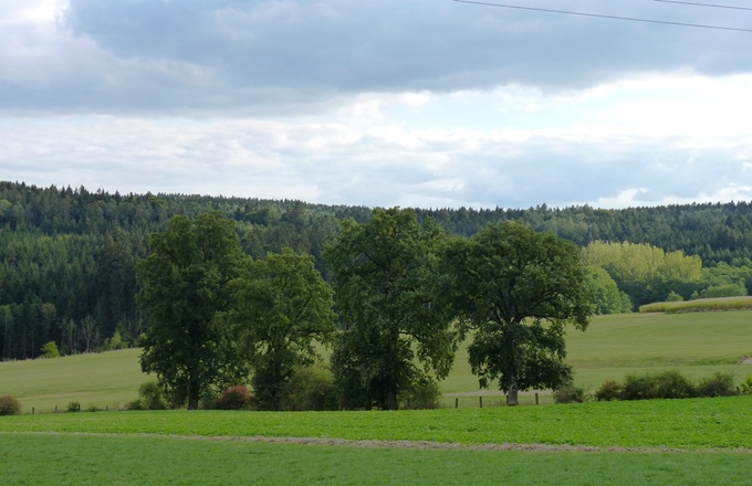 Ausblick bei Asenham