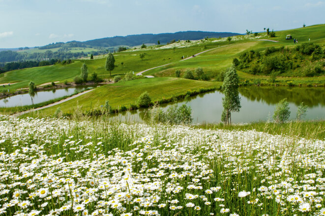 Blick auf den Bella Vista Golfpark