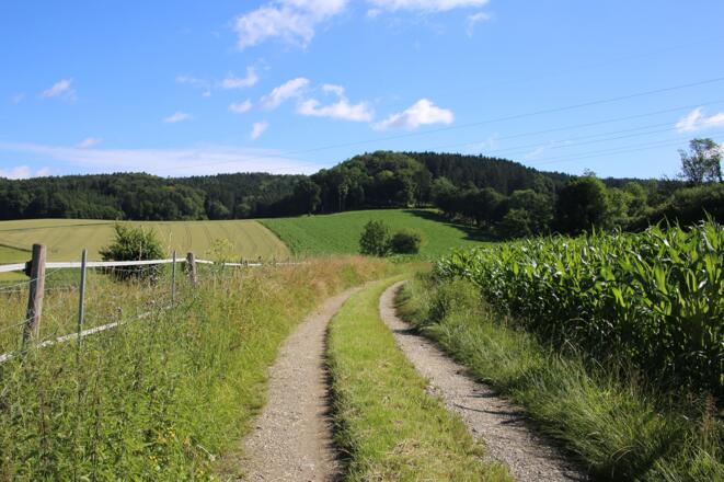 Ausblick auf der Tour