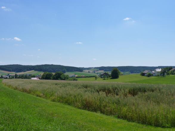 Aussichtspunkt bei Brand