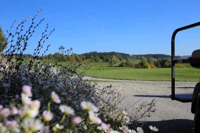 Ausschnitt aus der Runde