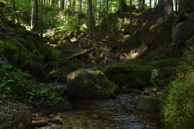 Ameringgraben mit Felsenlabyrinth