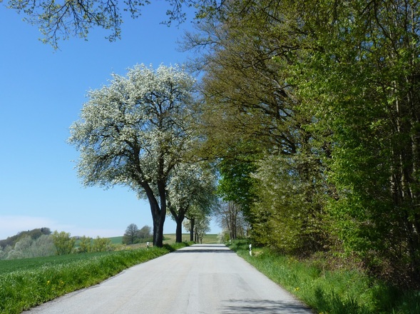 Bei Koppenöd