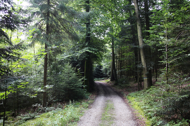 Ausblick auf der Tour