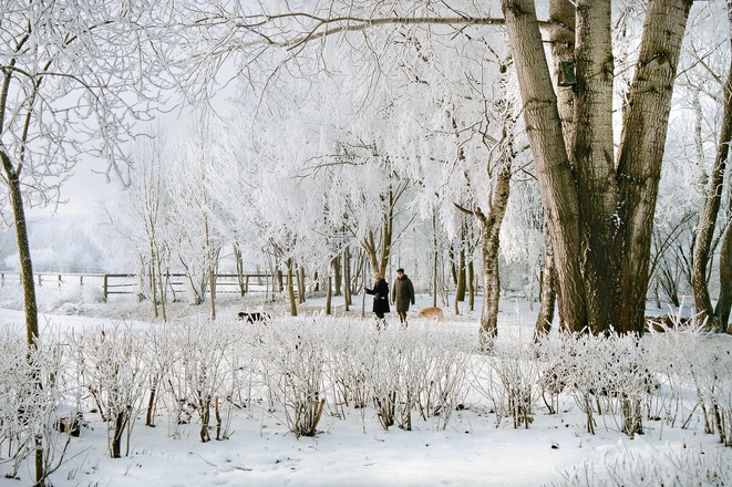 Der Kurpark im Winter (Beginn des Naturlehrpfades)