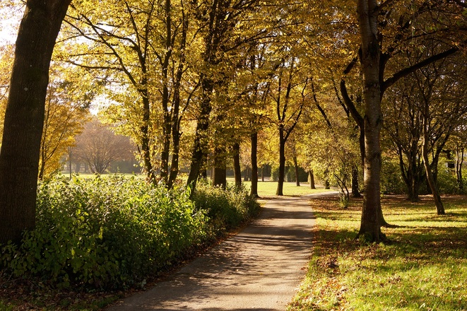 Ausschnitt aus dem Kurpark