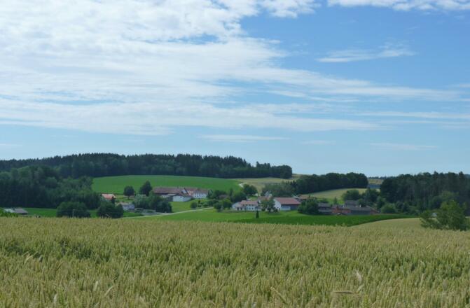 Blick auf Neukirchen