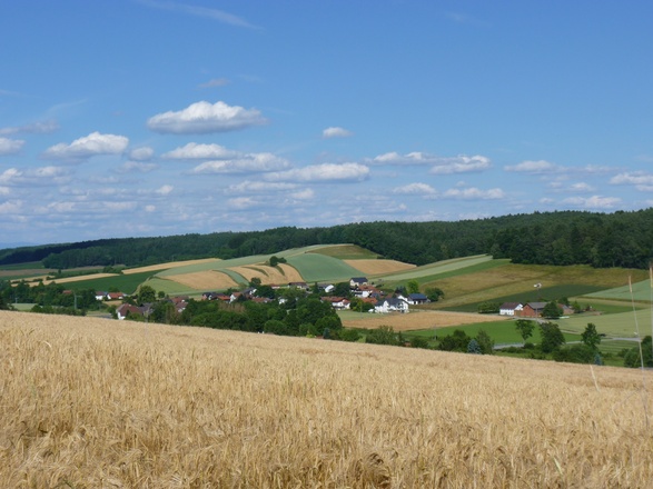 Ausblick von Guteneck ins Sulzbachtal