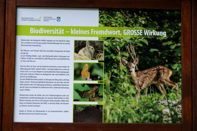 Infotafel