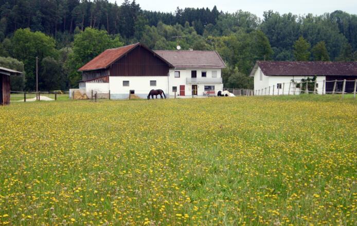 Bei Bruckhäuser.