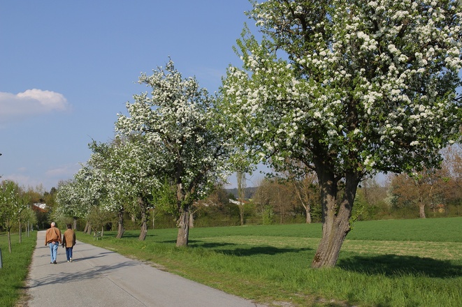 Die Badstraße
