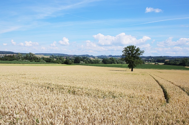Ausblick auf der Tour