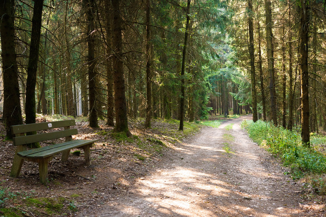 Eine Bank auf dem Wanderweg