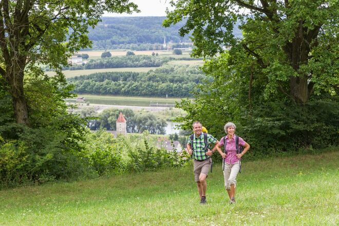 Oberndorfer Hänge bei Bad Abbach