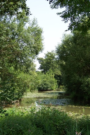 Am Geratskirchner Bach
