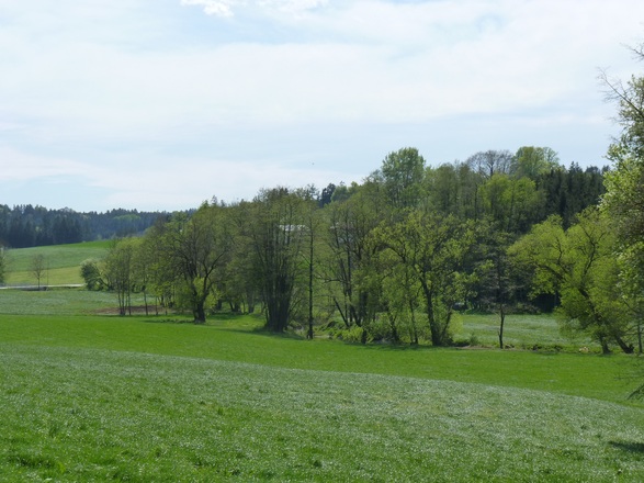 Altbachtal bei Unterpaikertsham