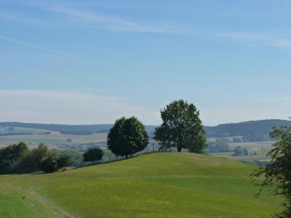 Blick auf den Kalvarienberg