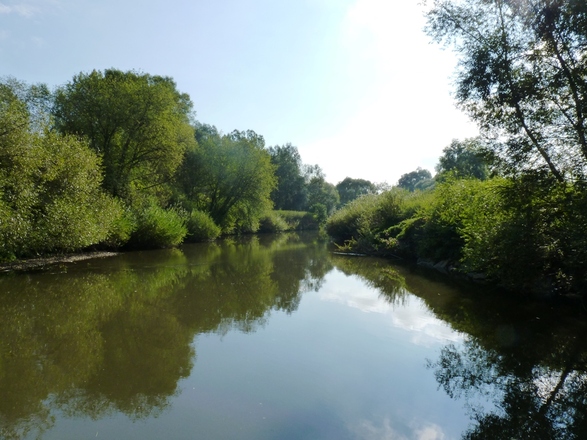 An der Rott