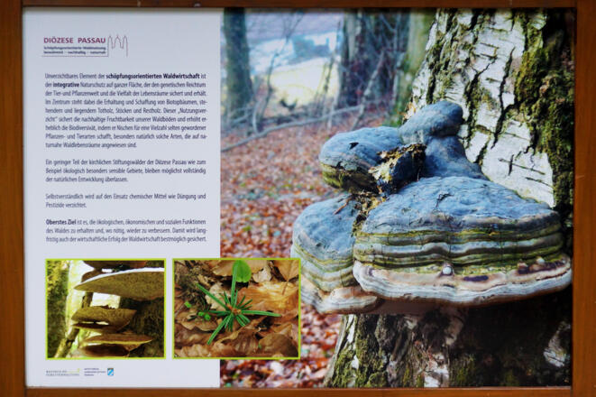 Infotafel