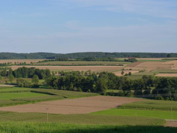 Das Kollbachtal bei Roßbach