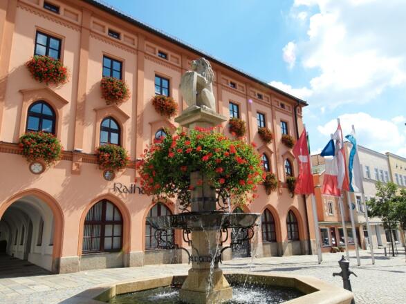 Stadtbrunnen und Rathaus