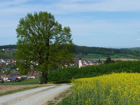 Blick von Hochreith auf Triftern