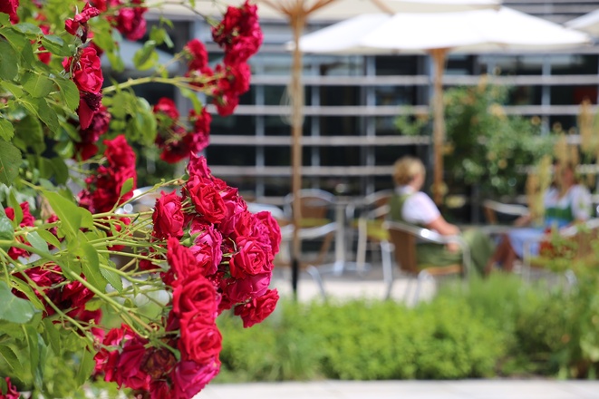 Der Innenhof des Artriums