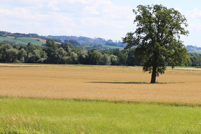 Ausblick auf der Tour