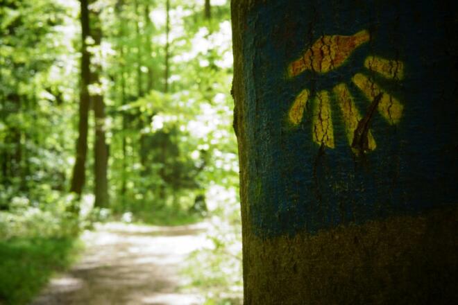Jakobusweg bei der Ausflugsgaststätte Frauenhäusl in Kelheim